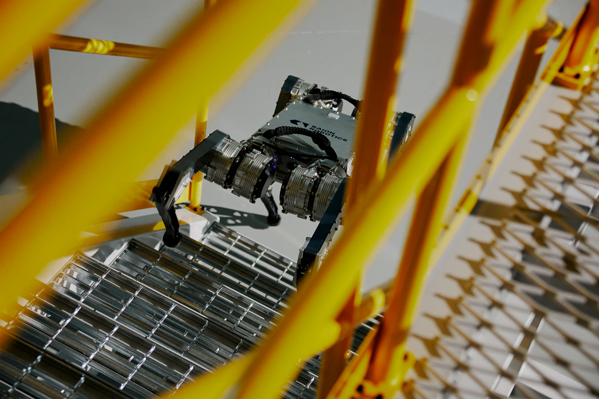 Raion Robotics dynamic validation